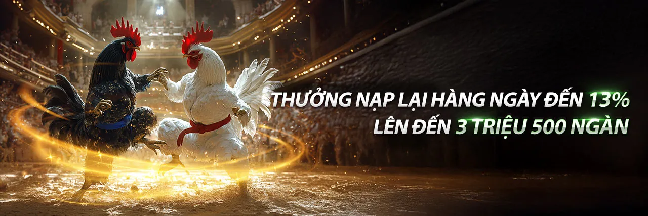 Đá gà trực tuyến w688 chính thức 2026, các trận đấu kịch tính