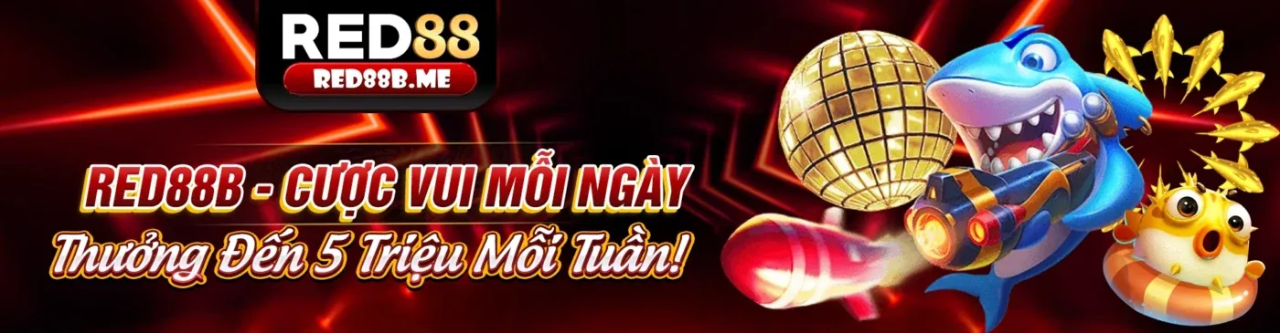 Hình ảnh đại diện Chính Sách Cookie của w688 chính thức